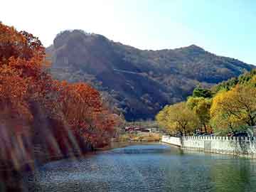 管家婆黑白马报图库，芥酸酰胺